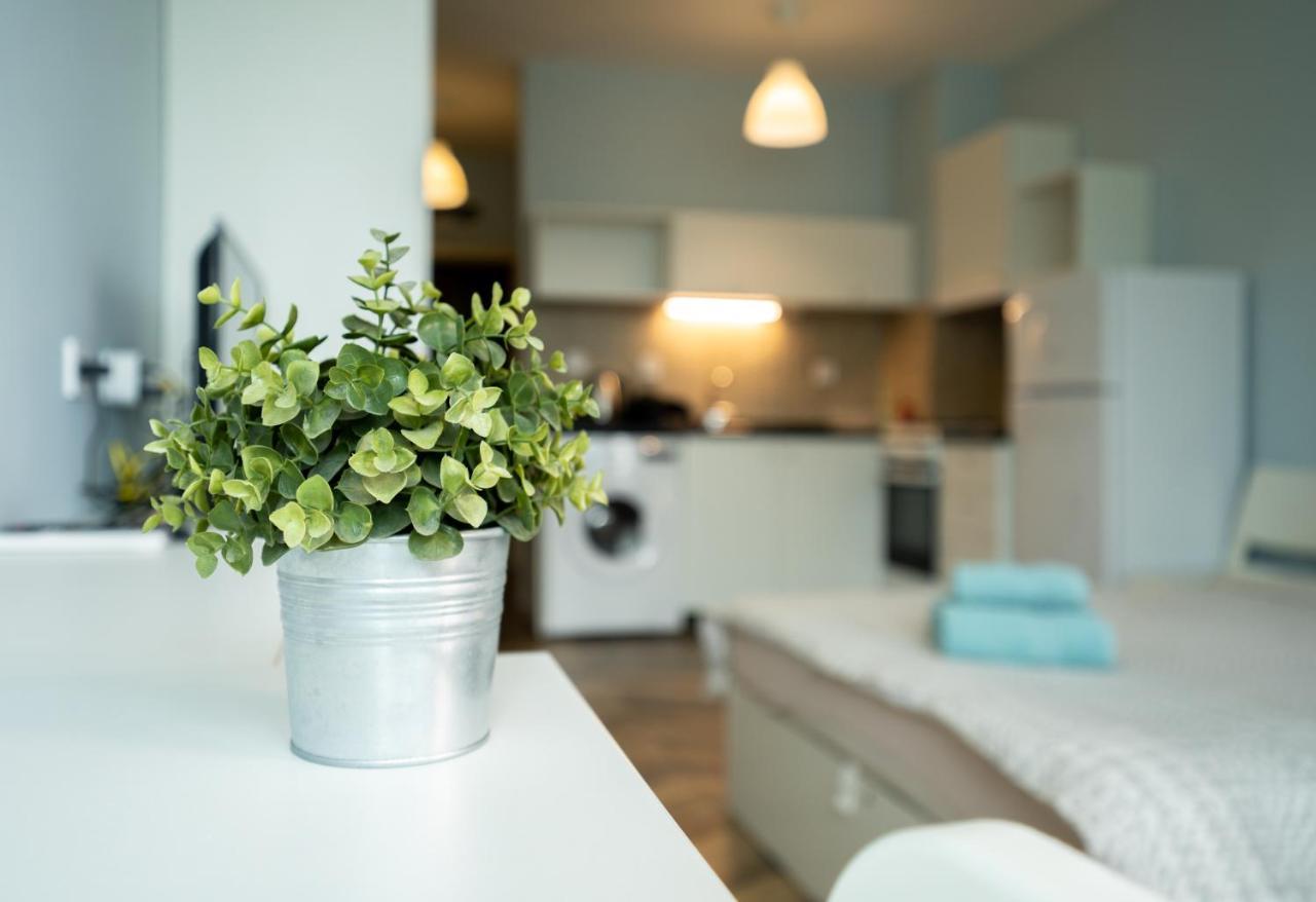 סופיה Cozy Little Apartment In Studentski Grad מראה חיצוני תמונה